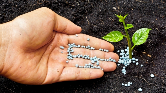 The Green Revolution: Unlocking the Power of Organic Soils and Fertilizers