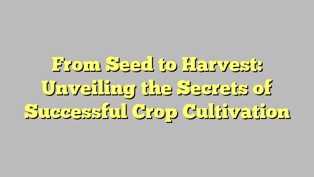 From Seed to Harvest: Unveiling the Secrets of Successful Crop Cultivation