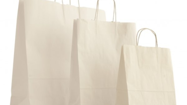 Unveiling the Elegance: Exploring the Charm of White Paper Bags