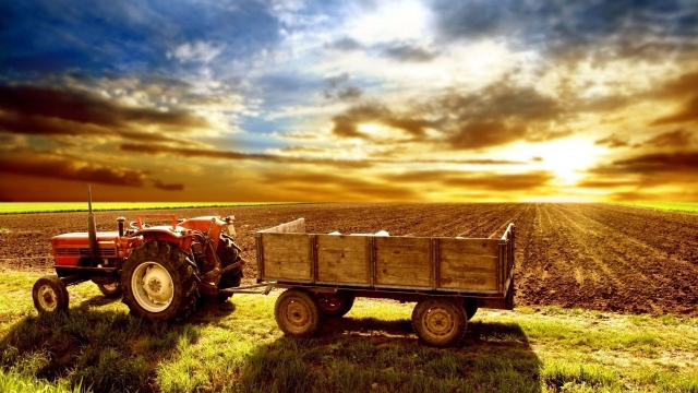 Harvest of the Sea: Exploring the Bounty of Coastal Farms