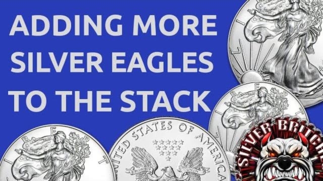 Shining Splendor: Exploring the World of Rare Silver Eagles