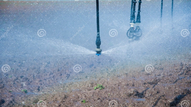 The Sprinkler Whisperers: Unveiling the Secrets of Expert Irrigation Installers