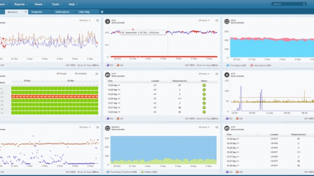 Web Monitoring: Unveiling the Digital Footprints