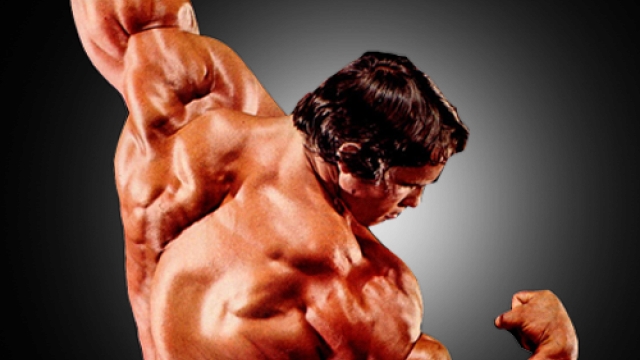 Sculpting Strength: The Art of Bodybuilding