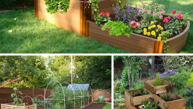 Blooming Havens: Unveiling the Magic of Garden Beds