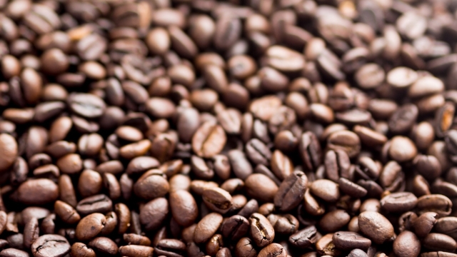 Brewing Success: The Ultimate Guide to Organic Coffee Beans