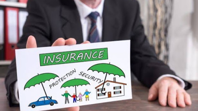 Insuring Your Future: A Closer Look at Insurance Agencies