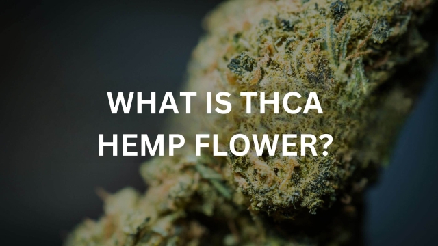 Blooming Benefits: Exploring the Power of THCA Flower