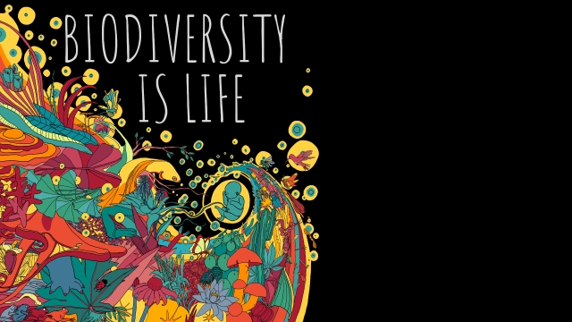 Dancing in Diversity: Exploring the Rich Tapestry of Ecology and Biodiversity