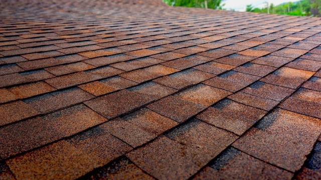 Reaching New Heights: Unveiling the World of Roofing