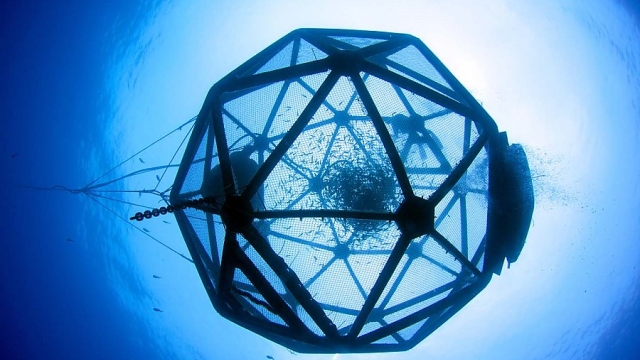 Revolutionizing Our Waters: The Future of Aquaculture Technology