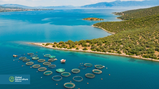 Revolutionizing the Deep: The Future of Aquaculture Technology