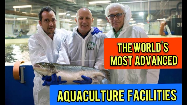 Revolutionizing the Seas: The Future of Aquaculture Technology