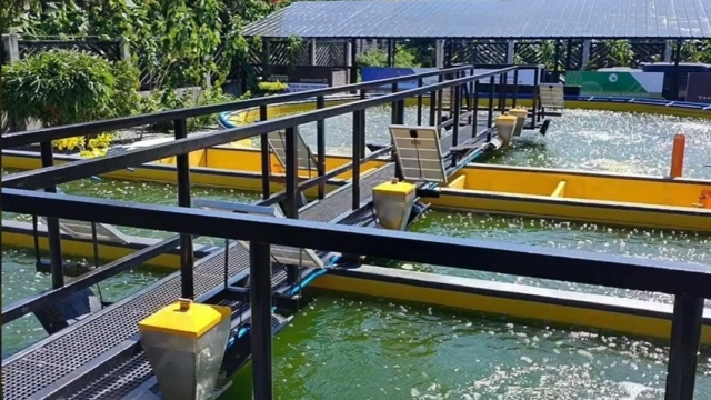 Revolutionizing the Waves: The Future of Aquaculture Technology