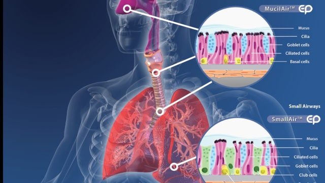 Breathing Easy: A Journey Through Innovative Inhalation Devices