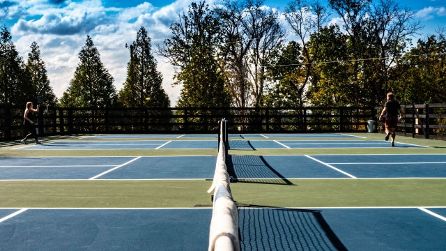 Ping, Paddle, Play: The Rise of Pickleball Fever!