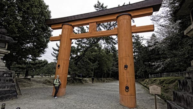 Whispers of Eternity: Exploring the Sacred Beauty of Shinto Shrines