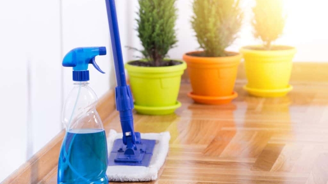 Sparkle and Shine: Transform Your Space with Professional Cleaning Services