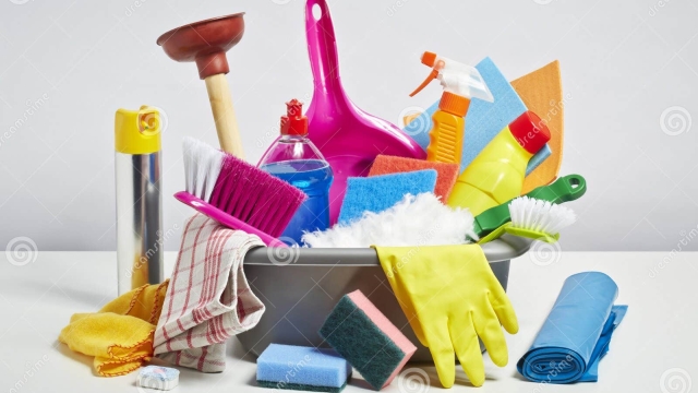 Sparkle and Shine: Mastering the Art of House Cleaning
