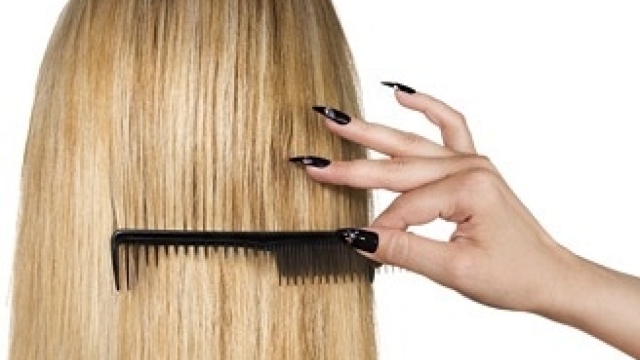 Raising the Bar: The Role of Certification in Hair Services
